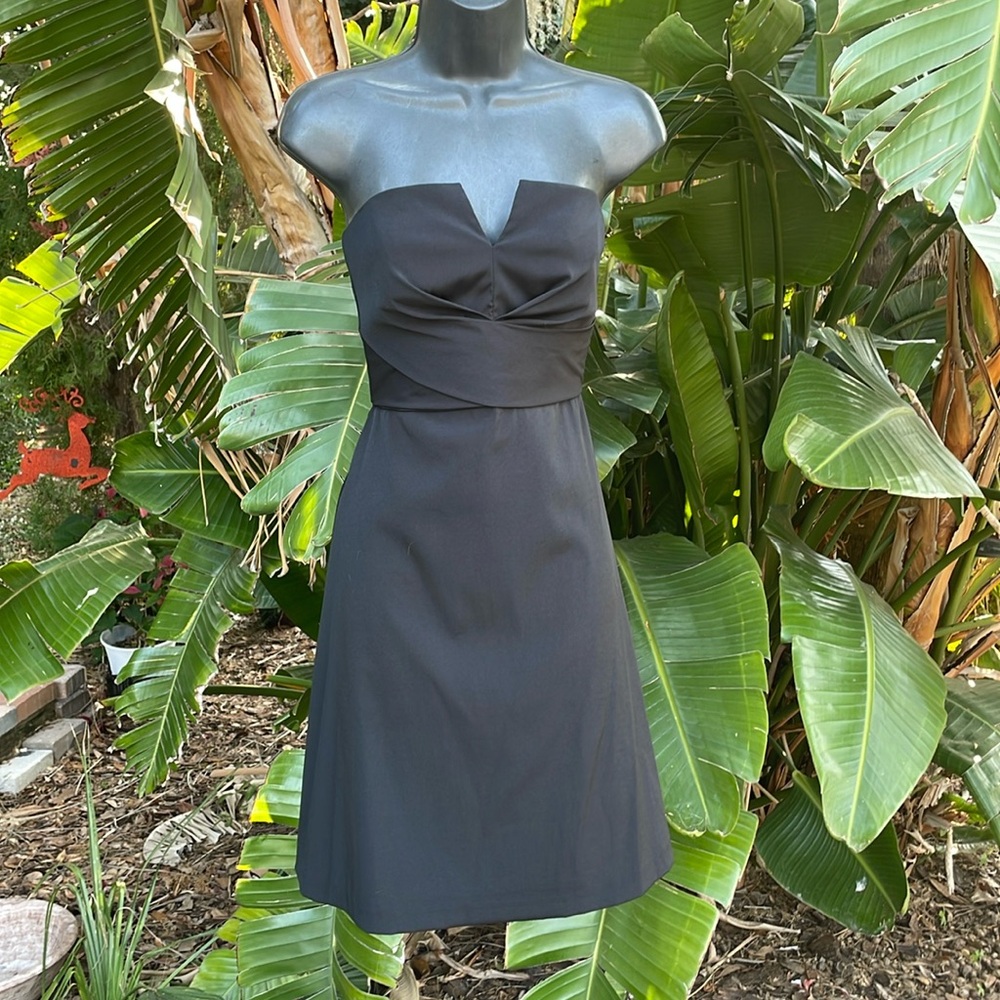 strapless corset fit, and flare dress